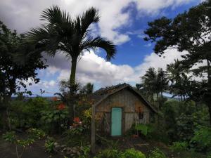 LénakelTanna Lava View Bungalows的田间小房子,有棕榈树