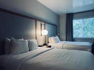 斯科茨Hotel Scottsdale的酒店客房设有两张床和窗户。