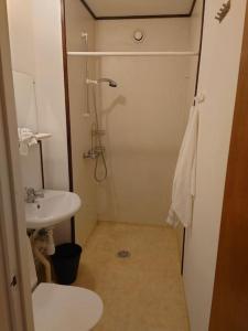 松兹瓦尔Large Apartment, Quality Company Accommodation.的带淋浴和盥洗盆的小浴室