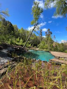 RecintoCabaña en el bosque-Termas de Chillán的森林中的蓝色水库