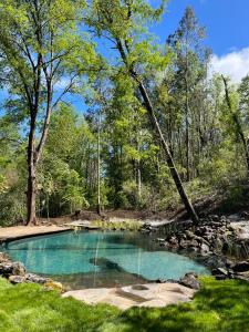 RecintoCabaña en el bosque-Termas de Chillán的森林中央的水池