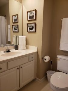 夏洛特Great Getaway Charlotte的一间带水槽、卫生间和镜子的浴室