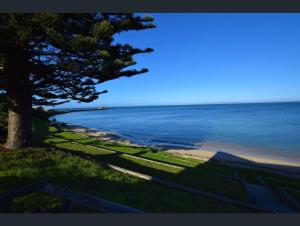 金斯科特Sally's Kingscote Retreat-2 units with 4 bedrooms in Kingscote, Kangaroo Island的海滩边的树与大海