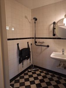 羊角村Hoeve Montigny B&B的带淋浴和盥洗盆的浴室