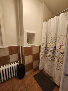 泽西市Prime Location 3-Bed Close to NYC的带淋浴和浴帘的浴室