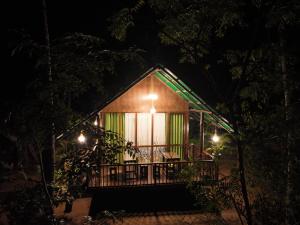 达瓦拉维Coconut Tree House的夜晚在树林里的一个小屋