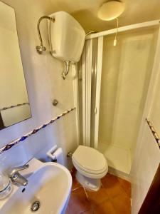 普罗奇达Procida Marina Grande的浴室配有卫生间、盥洗盆和淋浴。