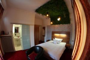 巴特莱辛哈尔艾姆拉奥斯酒店的酒店客房,配有床和镜子