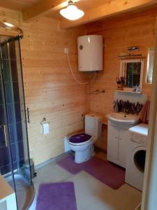 雷泽沃Lawendowy Domek Mazury的木制浴室设有卫生间和水槽