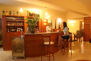 波莫瑞地区德拉夫斯科阿伯拉瓦酒店的两名妇女在餐厅酒吧里坐