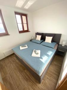 卡什佩尔斯凯霍里Apartmán v Kašperských Horách的一间卧室配有一张大床和两个枕头