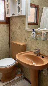 瓦尔迪维亚Cygnus Hostel的一间带卫生间和水槽的浴室
