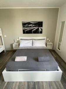 博尔索-德尔格拉帕da Toni Guesthouse的一间卧室配有一张大床和两个枕头
