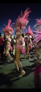 圣安尼Country Lodge La Pléiade的一群穿着粉红色服装的人走在街上