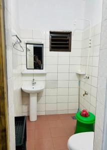 OuidahAmistad的一间带水槽、卫生间和镜子的浴室