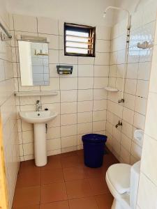 OuidahAmistad的一间带水槽、镜子和卫生间的浴室