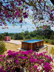 圣费兰-德瑟斯罗Villa Turquoise Formentera的花田里带游泳池的房子