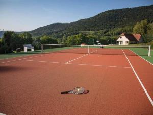 Le SaulcyVilla Le Chant des Sapins - Tennis, Pool, Golf的网球场上的网球拍