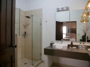帕拉斯德拉富恩特Hotel El Farol的浴室配有盥洗盆和带镜子的淋浴