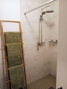 CarneyIrish Cottage Tipperary的浴室内配有毛巾架和淋浴