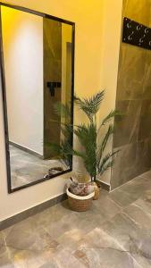 利雅德استديو فاخر حي حطين بجوار البوليفارد的浴室设有镜子和盆栽植物