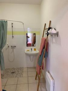 滨海苏拉克Soulac Studio Jo Centre et Plage的一间带水槽、淋浴和卫生间的浴室