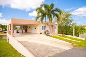 伊莎贝拉Arenales Vacational House的车道上有一棵棕榈树的房子