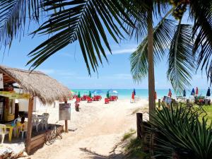 马拉戈日Pousada Mangata的海滩上,有椅子,棕榈树和大海