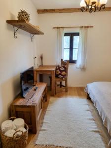 默古拉Pensiunea Hodăița的一间卧室配有一张床、一张书桌和一台电视