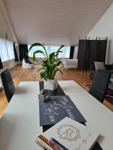 穆奥塔塔尔Muota River & Industry Apartment by Nature Apartments Switzerland的一间会议室,配有两张桌子和一棵植物