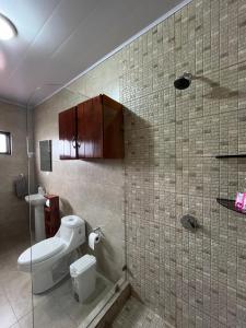 福尔图纳Alojamientos N&S的浴室配有卫生间、盥洗盆和淋浴。