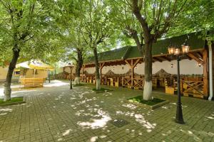 梅迪亚什特劳伯酒店的公园里有一个种满树木的凉亭和街灯