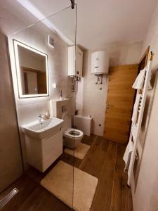 亚霍里纳Apartman 15的一间带水槽和卫生间的小浴室