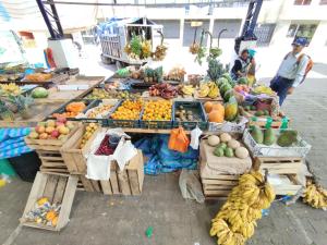 拉塔昆加Hotel Rosim Cotopaxi的市场里放着一大堆水果和蔬菜