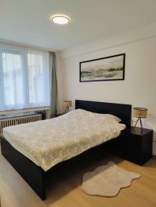 布鲁塞尔Bright & Cozy Appartment in Brussels的一间卧室设有一张大床和一个窗户。
