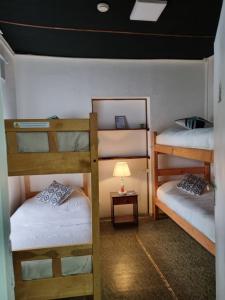 蓬塔阿雷纳斯Alojamiento Emilia House的客房设有两张双层床和一盏灯。