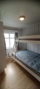 灵达尔Gauvik - Lyngdal的一间卧室设有两张双层床和梯子