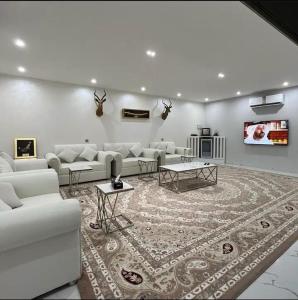 SinādilElva farm的客厅配有白色沙发和地毯。