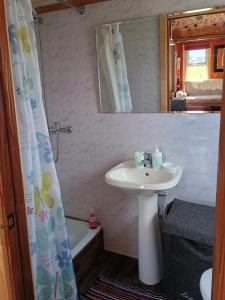 纳塔列斯港Tyni house的一间带水槽和淋浴帘的浴室