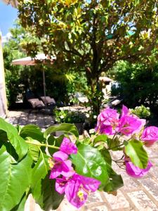 加尔达湖滨Appartamento villatorretta24的花园里的紫色花
