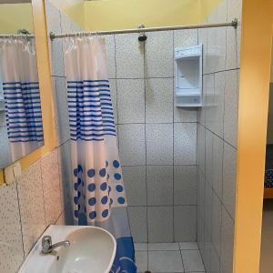 塔拉波托Residencial Carloz的一间带水槽和淋浴的浴室