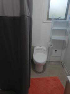 FreireCisnes del tolten的浴室配有带浴帘的卫生间