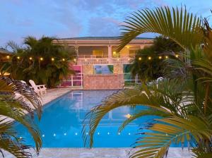 马纳蒂El Flamingo Beach Club的一座带游泳池和棕榈树的房子