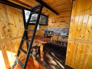 SesquiléCabaña tu.terra “El Paraíso”的小木屋内的厨房配有梯子