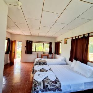 伊基托斯Milía Amazon Lodge的客房设有两张床、一张桌子和窗户。
