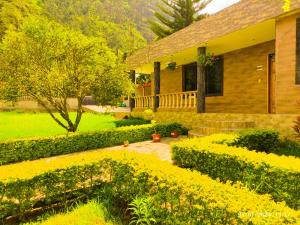 巴尼奥斯Casas vacacionales Baños的一座拥有黄色花卉的花园的房子