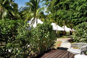 托阔里奇斐济托阔里奇岛喜来登水疗度假酒店的木人行道,长有长凳和树木
