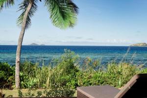 托阔里奇斐济托阔里奇岛喜来登水疗度假酒店的棕榈树海景公寓