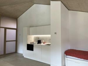 Apartamento MENDEBALDE的厨房配有白色橱柜和红色台面