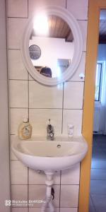拉肯霍夫Villa Fortuna Natur的一间带水槽和镜子的浴室